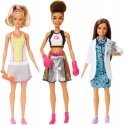 Barbie Doll Assortment Barbie Doll Assortment