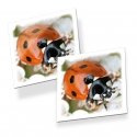 Tactic Memo Bugs Card Game Matching Tactic Memo Bugs Card Game Matching