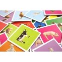 Tactic Farm Lotto Карточная игра Игра, основанная на случайности Tactic Farm Lotto Карточная игра Игра, основанная на случайности