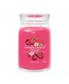 Yankee Candle 1701375E wax candle Cylinder Raspberry Crimson 1 pc(s)