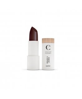 Couleur Caramel Rouge A Levres Barra De Labios 240 Stolen Kiss 1un