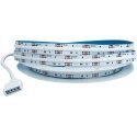 Orno Taśma LED COB 12V, 840L/m, 15W/m, IP20, RGB, 5m