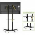 Techly 309982 крепление для телевизора 165,1 cm (65") Черный Techly 309982 крепление для телевизора 165,1 cm (65") Черный