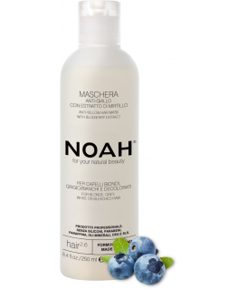 Noah 2.6. Anti-Geltona Hair Mask Geltonus tonus neutralizuojanti plaukų kaukė, 250 ml