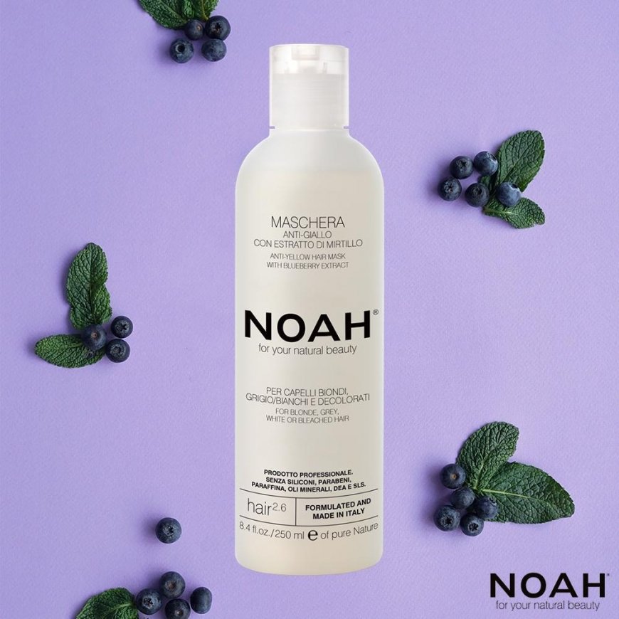 Noah 2.6. Anti-Geltona Hair Mask Geltonus tonus neutralizuojanti plaukų kaukė, 250 ml – 2