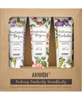 Anwen 3 High Porosity Conditioner Set - 100ml (ANW-195)