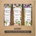 Anwen 3 didelio poringumo kondicionierių rinkinys - 100 ml (ANW-195)