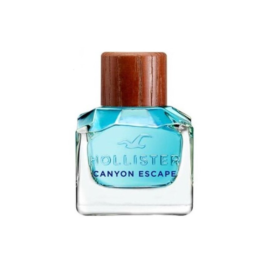 Hollister Canyon Escape For Him eau de toilette spray 100ml – 3