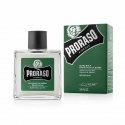 Proraso Žalias barzdos balzamas 100ml