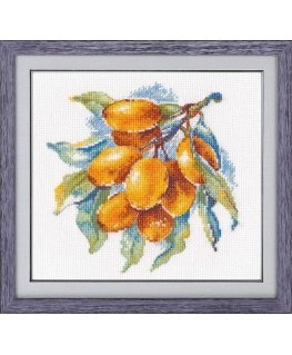 Beldizart Amber Berry S1091