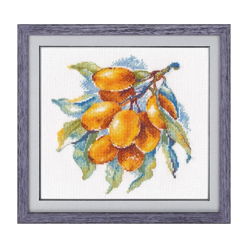 Beldizart Amber Berry S1091