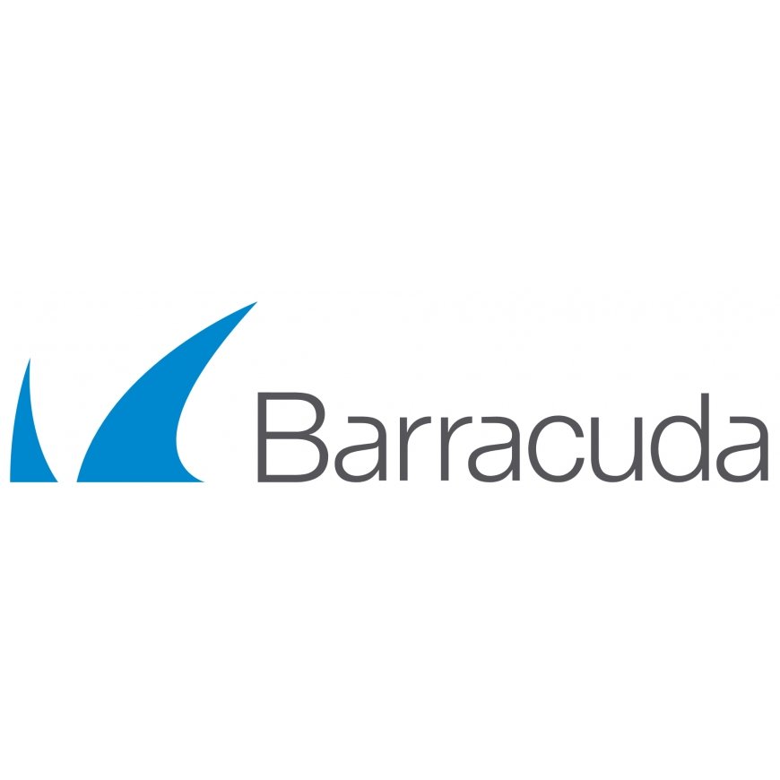 Barracuda Networks Instant Replacement