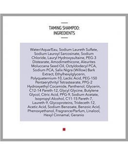Shampoo for unruly hair Goldwell Just Smooth Taming Shampoo 1000ml