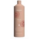 Echosline Argan szampon do włosów with olejkiem arganowym 1000ml Echosline Argan szampon do włosów with olejkiem arganowym 1000ml