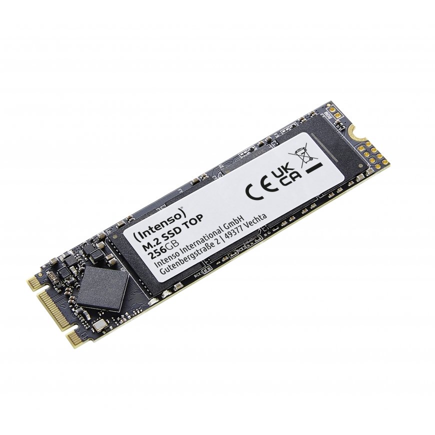 Intenso Top M.2 256 GB