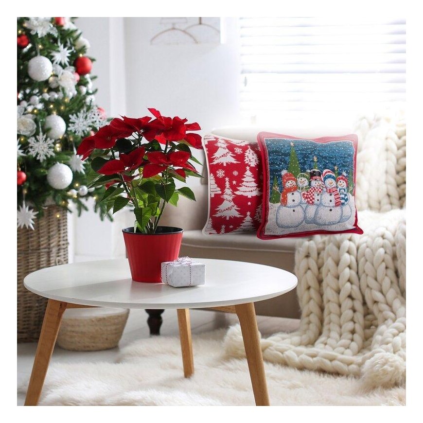 Eurofirany CHP/XMAS/W/1 45X45 Red – 3