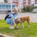 Ekskrementų maišelių rinkinys + dėklas purlov 22812