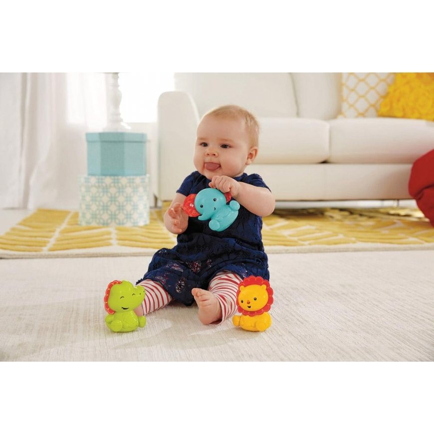 FISHER PRICE Set Funny Animals, CDN54 – 3