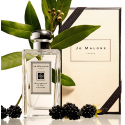 Jo Malone Blackberry & Bay EDC cologne for women, 100 ml