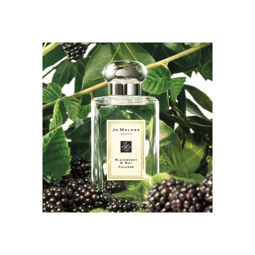 Jo Malone Blackberry & Bay EDC cologne for women, 100 ml – 4