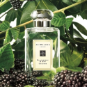 Jo Malone Blackberry & Bay EDC cologne for women, 100 ml