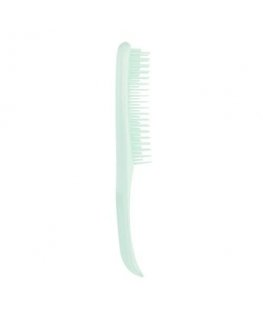 Tangle Teezer TANGLE TEEZER_Wet Detangler Hairbrush Mint