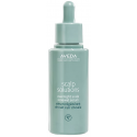 Aveda Scalp Solutions Overnight Scalp Renewal Serum light serum that protects the scalp from premature aging 50ml Aveda Scalp Solutions Overnight Scalp Renewal Serum light serum that protects the scalp from premature aging 50ml