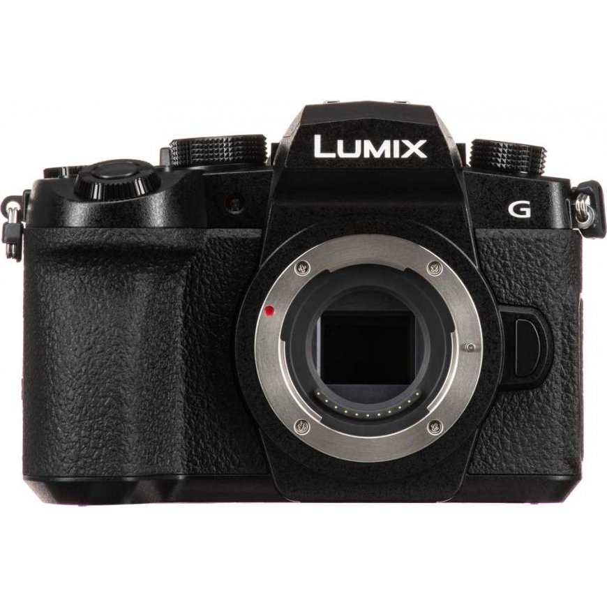 Panasonic Lumix G95D (90/91/99) + Panasonic LUMIX G Vario 12-60mm f/3.5-5.6 Asph. Power OIS (H-FS12060) (Black) – 5