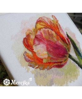 Merejka Embroidery kit 21x21 SK248