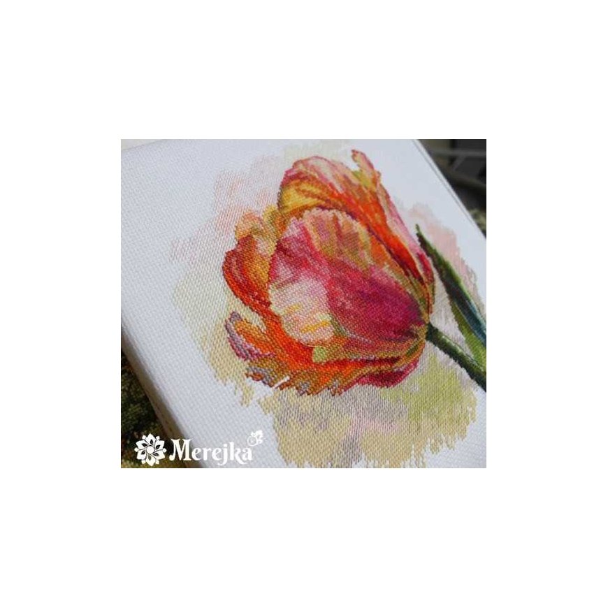 Merejka Embroidery kit 21x21 SK248