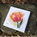 Merejka Embroidery kit 21x21 SK248