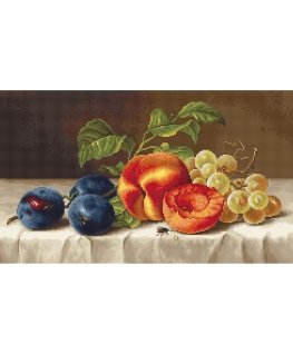 luca S Still Life SG592