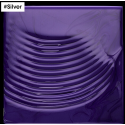 Shade correcting shampoo L'oreal Professionnel Silver Shampoo 500ml