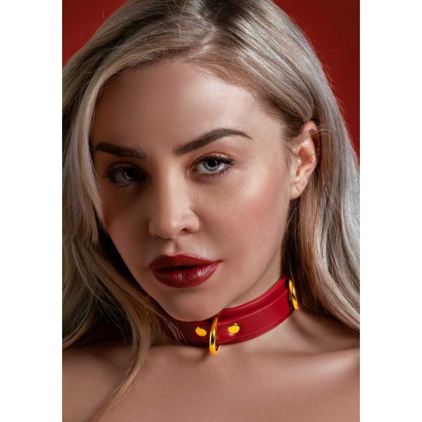 Taboom D-Ring Collar Deluxe – 3