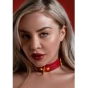 Taboom D-Ring Collar Deluxe Taboom D-Ring Collar Deluxe