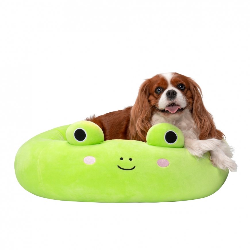 SQUISHMALLOWS Gulta mājdzīvniekiem Varde Wendy, 60 cm – 4