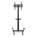 Nedis TVSM5100BK подставка / крепление для мониторов 139,7 cm (55") Черный Пол Nedis TVSM5100BK подставка / крепление для мониторов 139,7 cm (55") Черный Пол