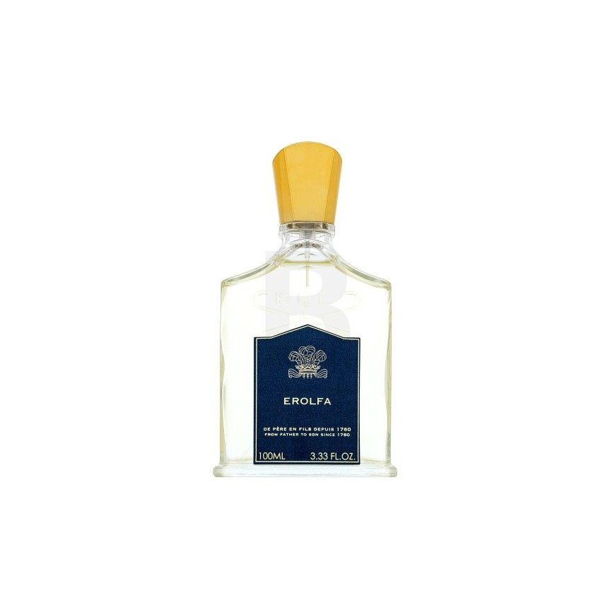 Vyrų kvepalai Creed EDP Erolfa 100 ml