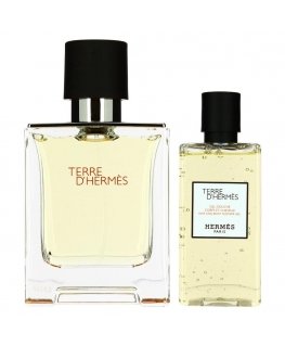 Hermès Terre D´Hermes Eau De Toilette Spray, 100 ml Set 2 Pieces