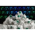 Glorious PC Gaming Race GAT-GREEN võtmelüliti Roheline 120 tk Glorious PC Gaming Race GAT-GREEN võtmelüliti Roheline 120 tk