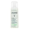 Caudalie Vinoclean Fleur de Vigne Instant Foaming Cleanser 150ml Caudalie Vinoclean Fleur de Vigne Instant Foaming Cleanser 150ml