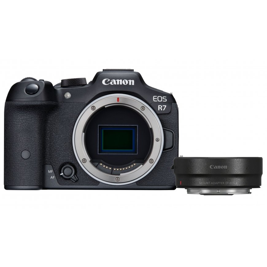 Canon EOS R7 + EF- R