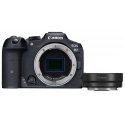 Canon EOS R7 + EF- R MILC korpusas 32,5 MP CMOS 6960 x 4640 pikseliai Juoda
