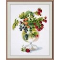 Beldizart Berry drink S887 Beldizart Berry drink S887