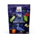 SYTA MICHA Chef Part, marjad ja spinat - koerakuivtoit - 1,5kg SYTA MICHA Chef Part, marjad ja spinat - koerakuivtoit - 1,5kg