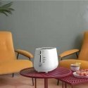 Toaster De'Longhi CTY2103.W