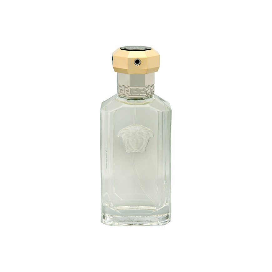VERSACE TESTER - Versace Dreamer EDT