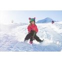 Gizmo Wanna Haves Plastkon GIZMO RIDERS SKIDRIFTER RIDE, PINK Gizmo Wanna Haves Plastkon GIZMO RIDERS SKIDRIFTER RIDE, PINK
