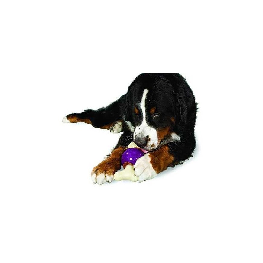 Petsafe Busy Buddy Bouncy Bone L toy bone for treats for large dogs from 22.7 kg weight – 4