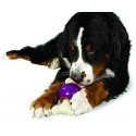 Petsafe Busy Buddy Bouncy Bone L žaislinis kaulas skanėstams dideliems šunims nuo 22,7kg svorio Petsafe Busy Buddy Bouncy Bone L žaislinis kaulas skanėstams dideliems šunims nuo 22,7kg svorio